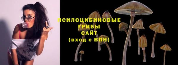 бутират Краснослободск